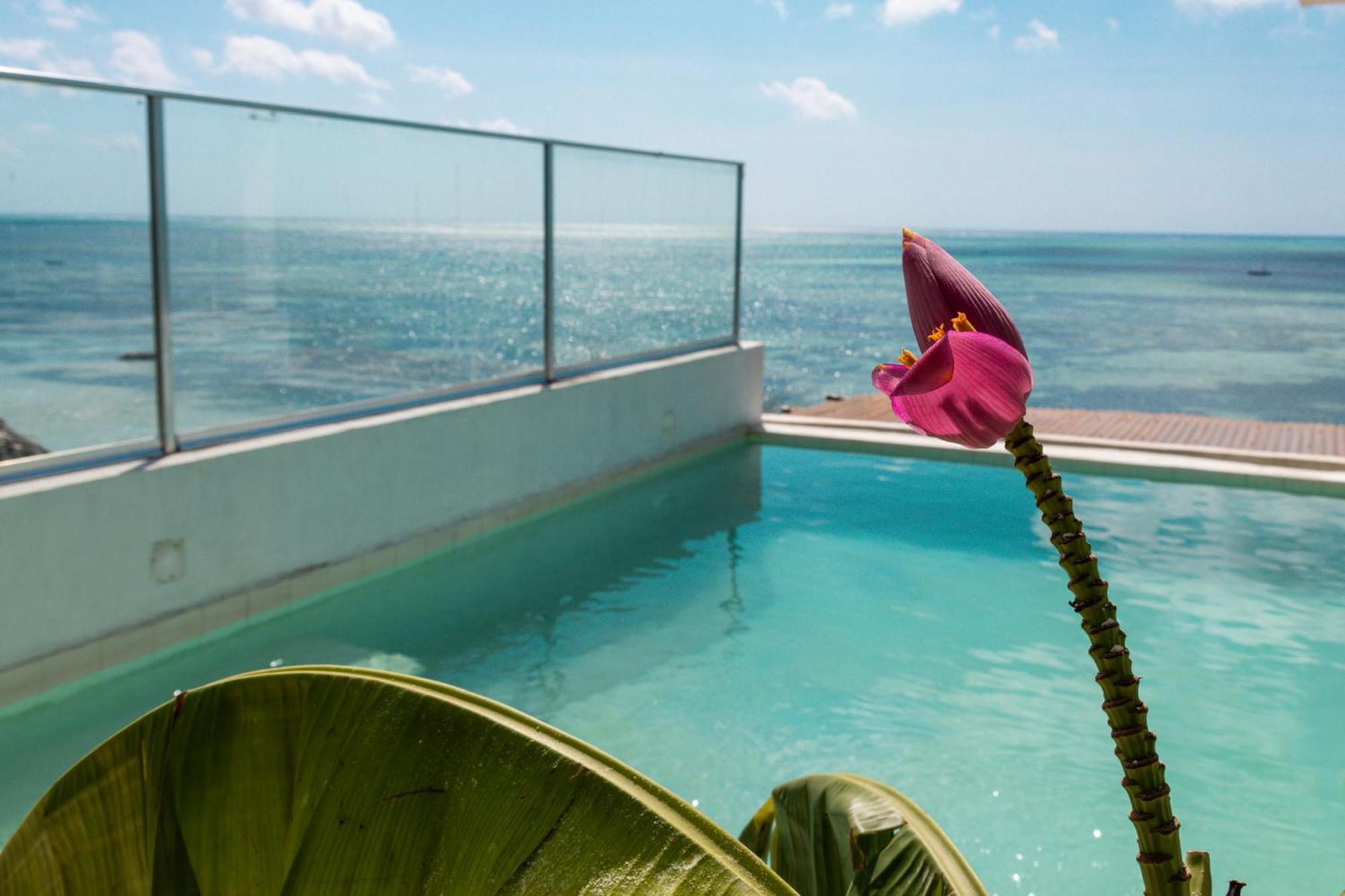 Pili Pili Sunrise Beach Hotel Jambiani  Exterior photo